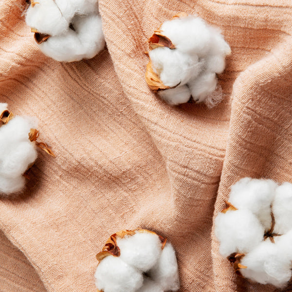 How Kutch’s Native Cotton Sparked a Sustainable Comeback