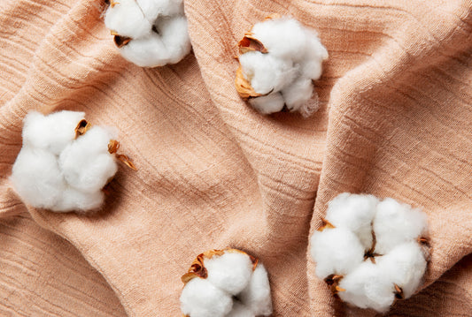 How Kutch’s Native Cotton Sparked a Sustainable Comeback