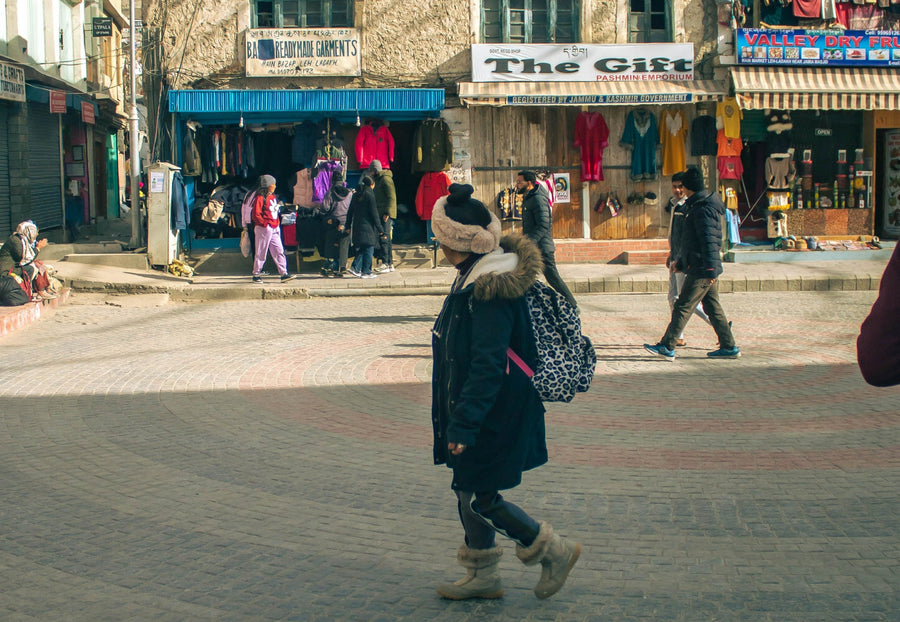 Ladakh Is Betting On Training To Take Pashmina Global