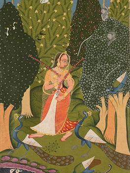 Banarasi Silk Saree